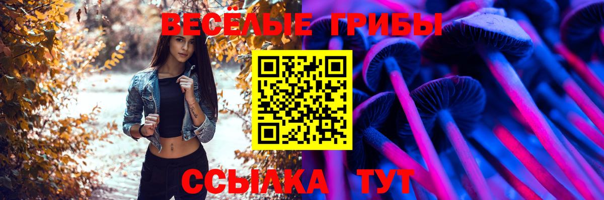 Златоуст  Галлюциногенные грибы Psilocybe  Вход с VPN 
