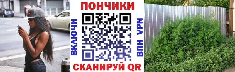 где купить наркотик  Златоуст  KRAKEN ТОР  Шишки марихуана гибрид 
